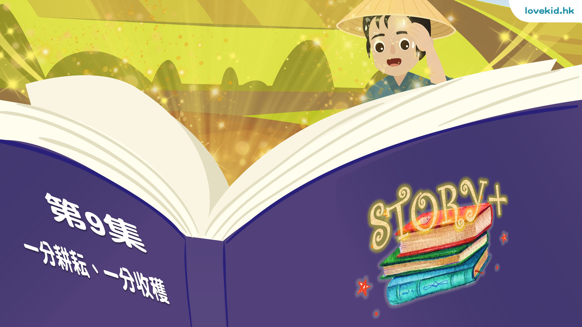 story7